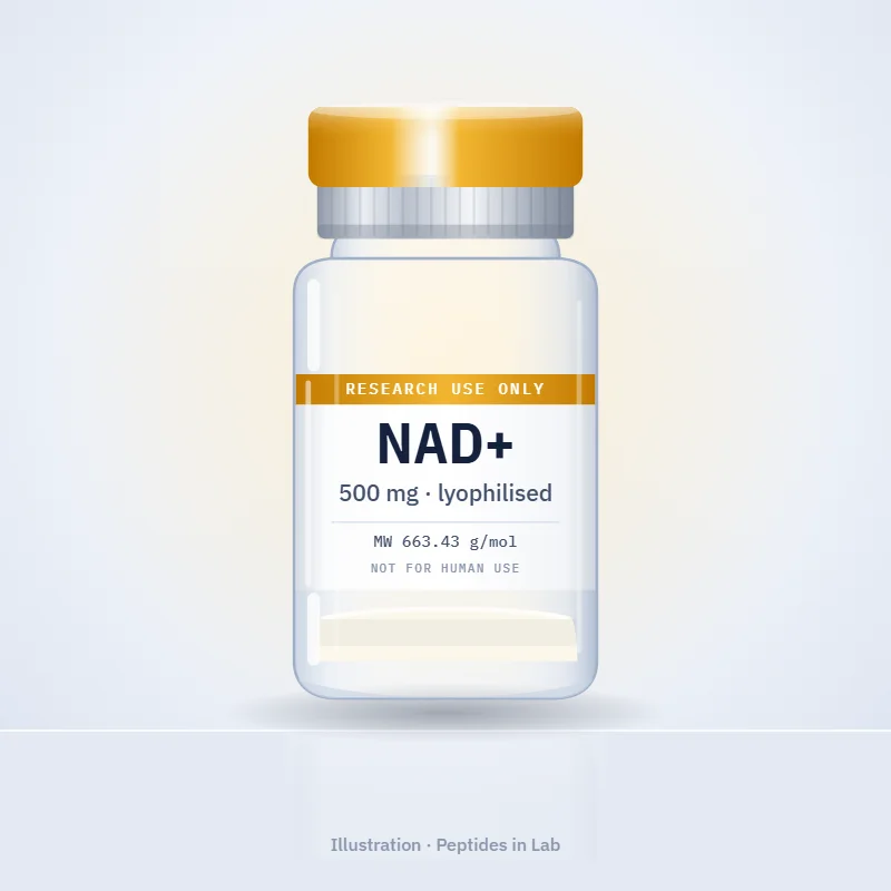 Illustration of a NAD+ research peptide vial